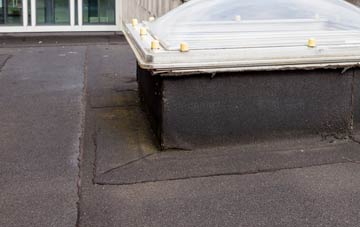 disadvantages of Minting flat roofs