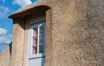 Minting thatch roof disadvantages